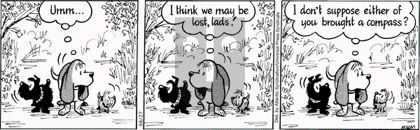 Fred Basset on Friday June 27, 2008 Comic Strip