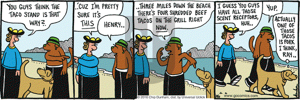 Overboard on Saturday August 6, 2016 Comic Strip