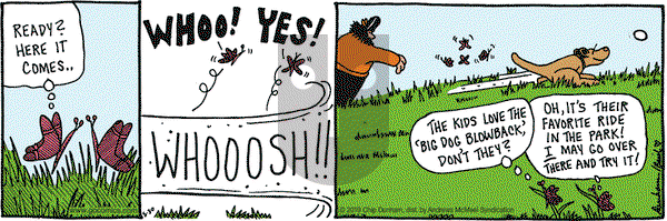 Overboard on Thursday May 30, 2019 Comic Strip
