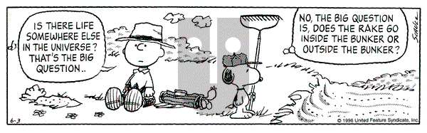 Peanuts on Monday June 3, 1996 Comic Strip