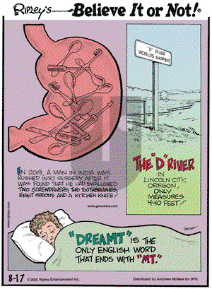 Ripley's Believe It or Not on Monday August 17, 2020 Comic Strip