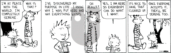 Calvin and Hobbes - Wednesday April 14, 1993 Comic Strip
