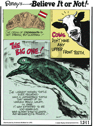 Ripley's Believe It or Not on Friday December 11, 2020 Comic Strip