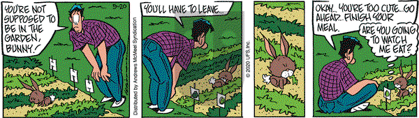Rose is Rose on Wednesday May 20, 2020 Comic Strip