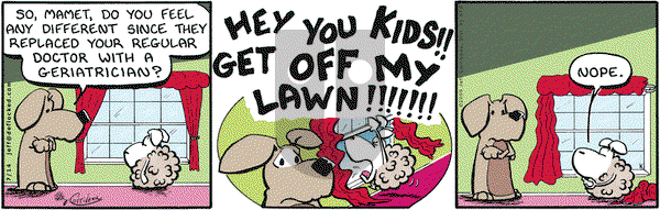 DeFlocked on Tuesday July 14, 2009 Comic Strip