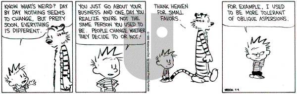 Calvin and Hobbes on Saturday November 4, 1995 Comic Strip