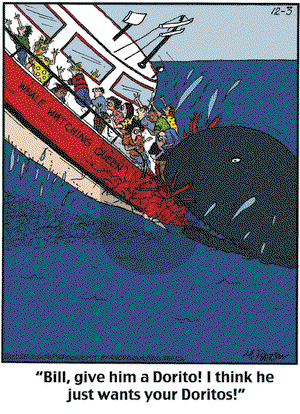 Close to Home on Wednesday December 3, 2025 Comic Strip