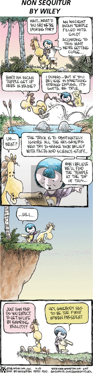 Non Sequitur on Sunday July 13, 2008 Comic Strip