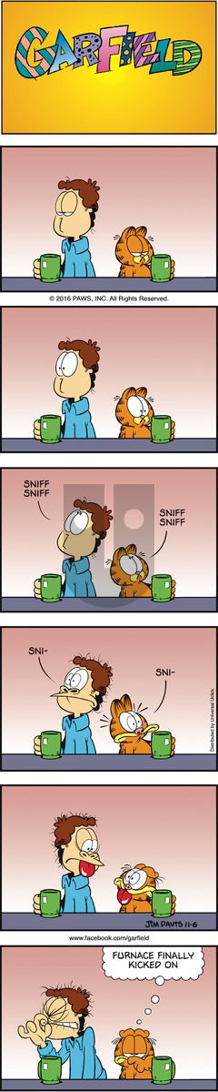 Garfield on Sunday November 6, 2016 Comic Strip