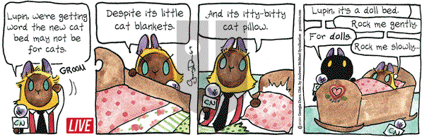 Breaking Cat News on Tuesday June 9, 2020 Comic Strip