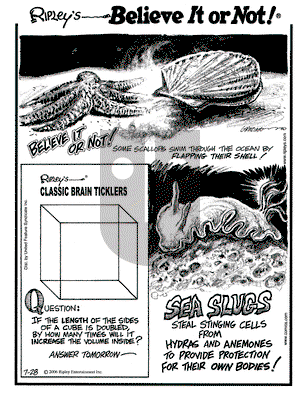 Ripley's Believe It or Not on Friday July 28, 2006 Comic Strip