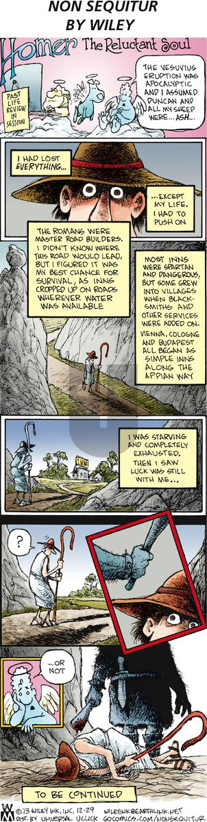 Non Sequitur - Sunday December 29, 2013 Comic Strip