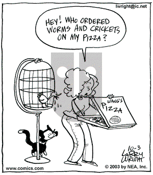 Kit 'N' Carlyle on Friday October 3, 2003 Comic Strip