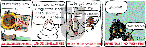 Breaking Cat News on Thursday July 16, 2020 Comic Strip