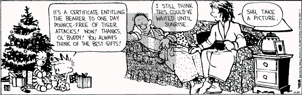 Calvin and Hobbes - Friday December 25, 1992 Comic Strip