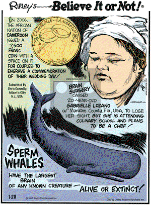 Ripley's Believe It or Not on Thursday January 28, 2010 Comic Strip