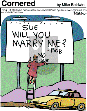Cornered - Saturday December 6, 2008 Comic Strip