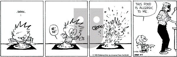 Calvin and Hobbes - Saturday August 19, 1995 Comic Strip