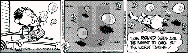 Rose is Rose on Monday June 1, 1998 Comic Strip