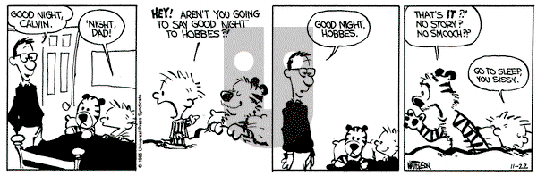 Calvin and Hobbes on Friday November 22, 1985 Comic Strip