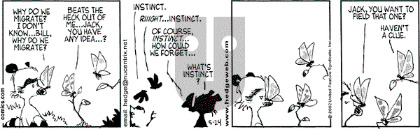 Over the Hedge on Friday May 24, 2002 Comic Strip