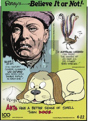 Ripley's Believe It or Not on Monday April 22, 2019 Comic Strip