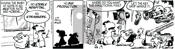 Over the Hedge on Wednesday February 19, 1997 Comic Strip