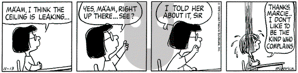 Peanuts on Tuesday November 13, 1979 Comic Strip