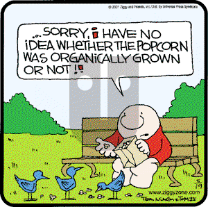 Ziggy - Saturday May 19, 2001 Comic Strip