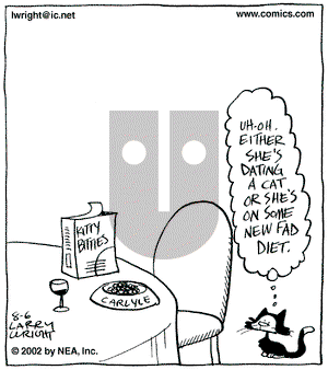 Kit 'N' Carlyle on Tuesday August 6, 2002 Comic Strip