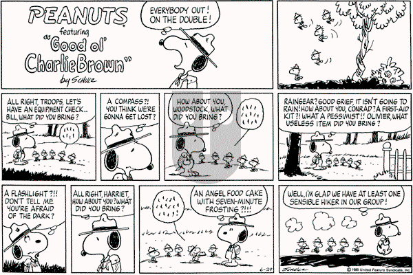 Peanuts - Sunday June 29, 1980 Comic Strip