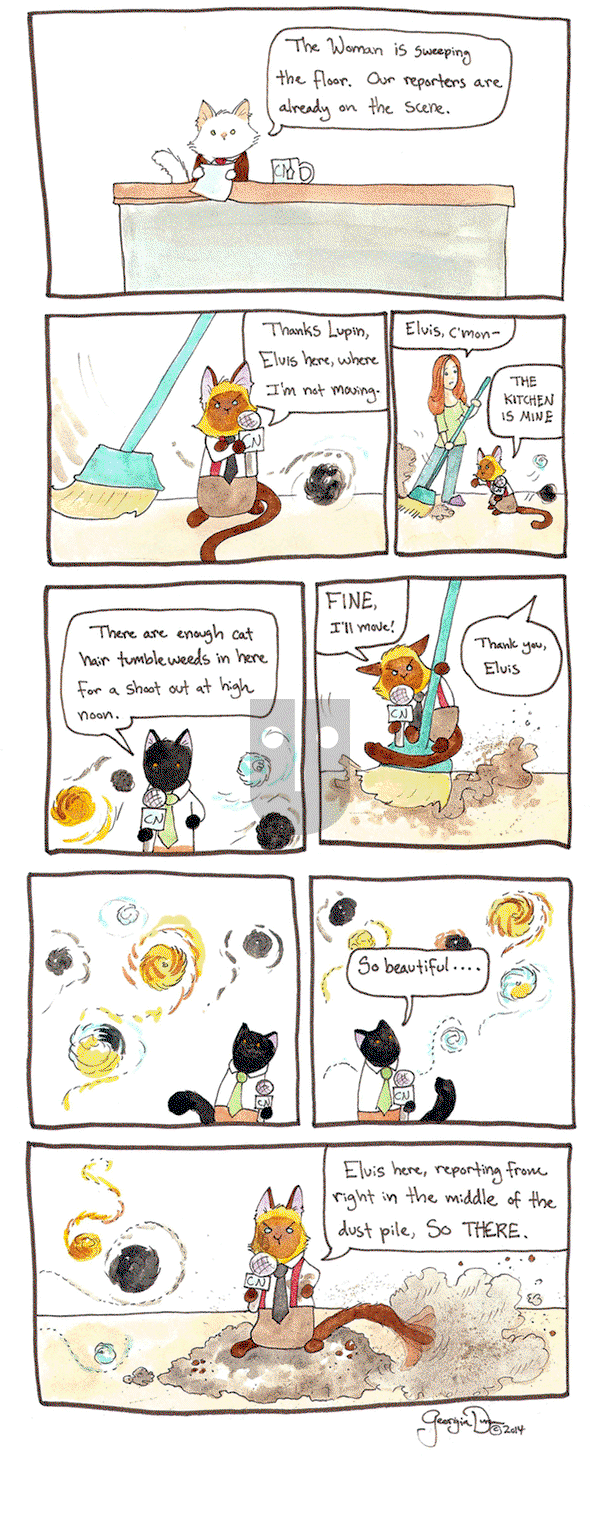 Breaking Cat News on Friday September 30, 2016 Comic Strip