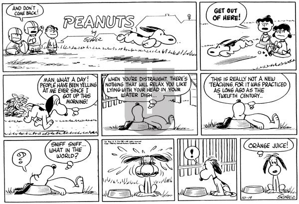 Peanuts on Sunday October 19, 1958 Comic Strip
