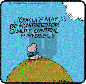 Ziggy - Tuesday July 6, 2010 Comic Strip