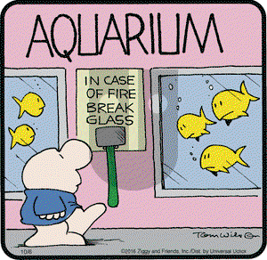 Ziggy on Thursday October 6, 2016 Comic Strip