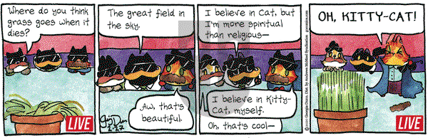 Breaking Cat News on Thursday February 27, 2020 Comic Strip