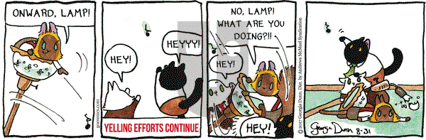 Breaking Cat News on Thursday August 31, 2017 Comic Strip