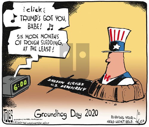 Tom Toles on Sunday February 2, 2020 Comic Strip