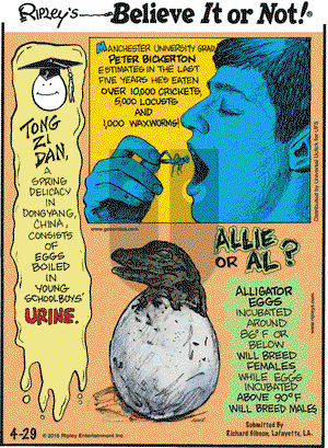 Ripley's Believe It or Not on Friday April 29, 2016 Comic Strip