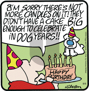Ziggy - Tuesday August 6, 2024 Comic Strip