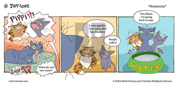 @Tavicat on Wednesday September 11, 2024 Comic Strip
