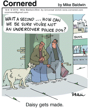 Cornered on Thursday December 8, 2016 Comic Strip