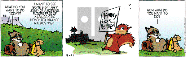Over the Hedge on Wednesday September 11, 2019 Comic Strip