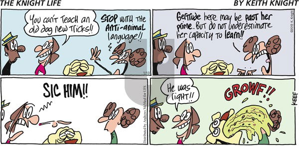 The Knight Life on Sunday January 13, 2019 Comic Strip