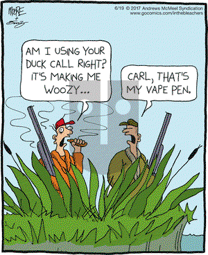 In the Bleachers on Monday June 19, 2017 Comic Strip