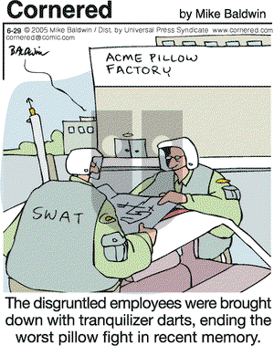Cornered on Wednesday June 29, 2005 Comic Strip
