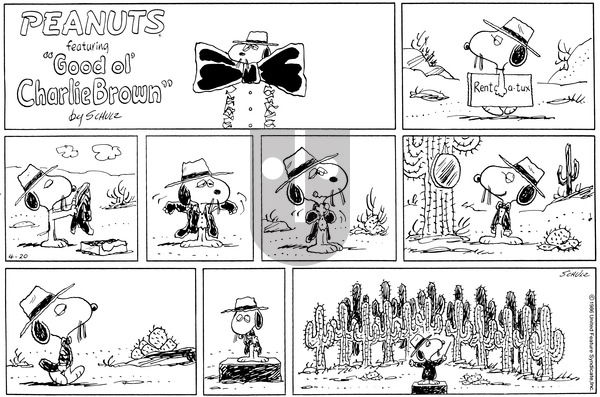 Peanuts on Sunday April 20, 1986 Comic Strip