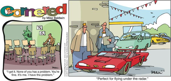 Cornered on Sunday June 25, 2017 Comic Strip