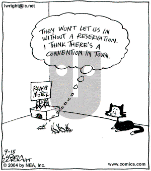 Kit 'N' Carlyle on Friday December 17, 2004 Comic Strip