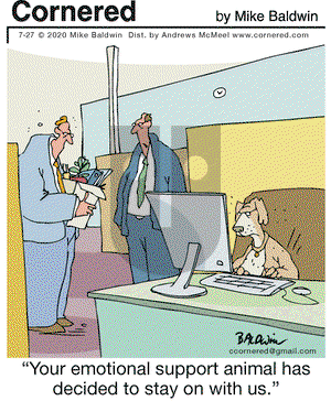 Cornered on Monday July 27, 2020 Comic Strip